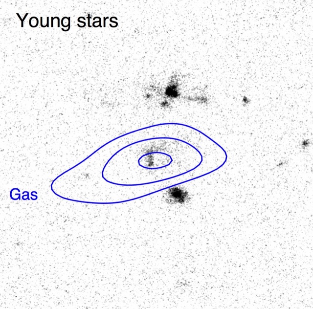 ALMA/HST young stars